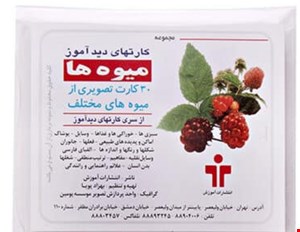 کارت دیدآموز میوه ها